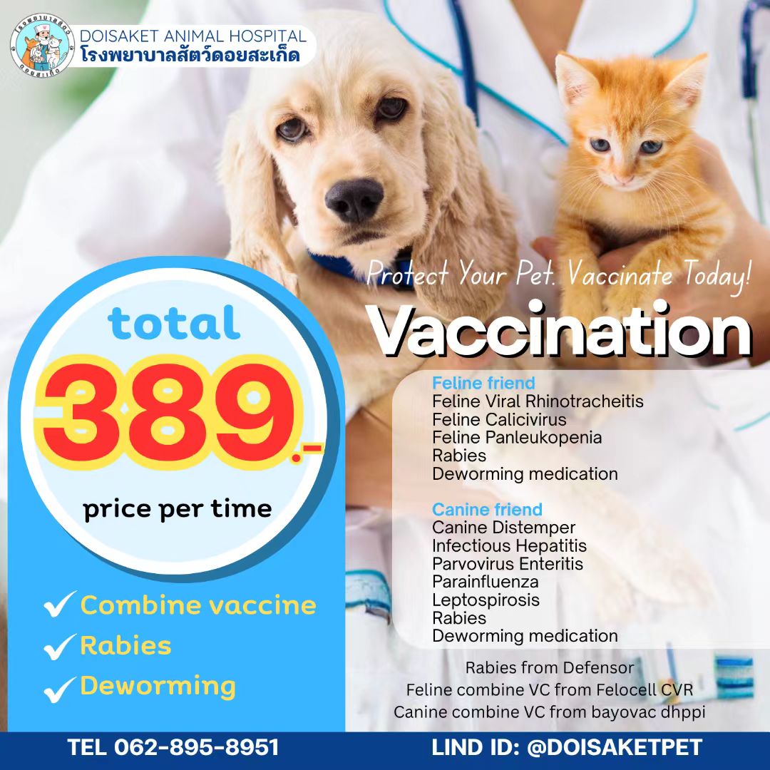 โปรโมชั่นวัคซีน โรงพยาบาลสัตว์ดอยสะเก็ด ราคา 389 บาท